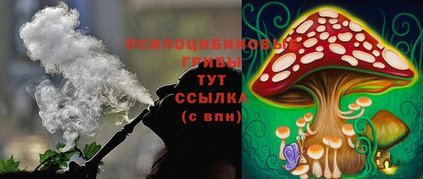 эйфоретик Балахна